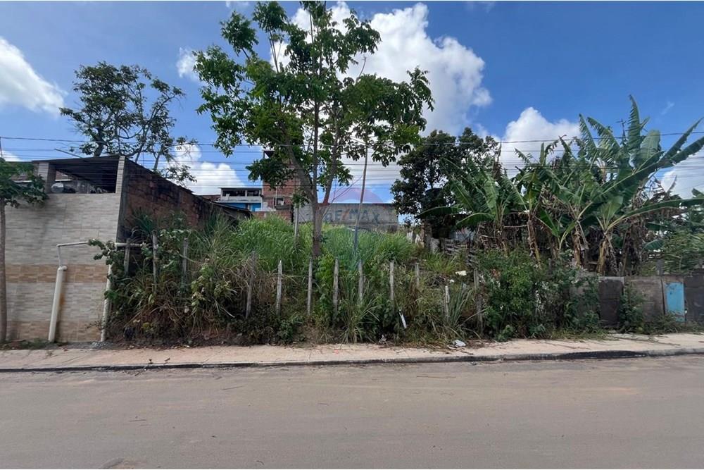 Terreno - Venda - Cabo de Santo Agostinho , Pernambuco - WhatsApp Image 2025-12-27 at 12.10.26 (5).jpeg - 850281001-61