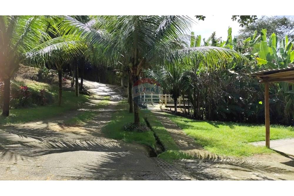 Chácara / Sítio / Fazenda - Venda - Maceió , Alagoas - HARAS28.jpg - 850141043-95