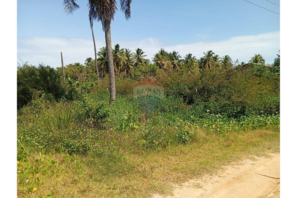 Terreno - Venda - São Miguel dos Milagres , Alagoas - WhatsApp Image 2025-10-17 at 21.01.59 (2).jpeg - 850271222-9