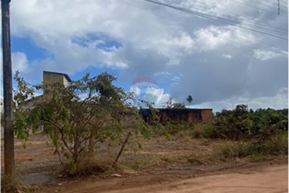 Terreno - Venda - Porto de Pedras , Alagoas - IMG_1936.jpeg - 850271264-19