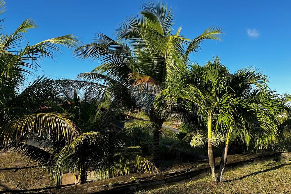 Casa - Venda - Ipojuca , Pernambuco - IMG_1470.jpeg - 850221036-9