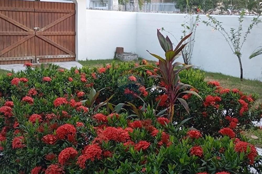 Casa - Alugar - Ipojuca , Pernambuco - 6dd0f616-90fe-4264-9188-b1a393e91432.jpg - 850221043-39