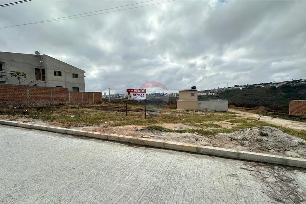 Terreno - Venda - Garanhuns , Pernambuco - WhatsApp Image 2025-01-08 at 17.00.50 (9).jpeg - 850131003-371