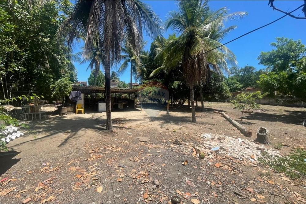 Terreno - Venda - Maceió , Alagoas - WhatsApp Image 2026-01-16 at 14.15.07 (1).jpeg - 850271272-1
