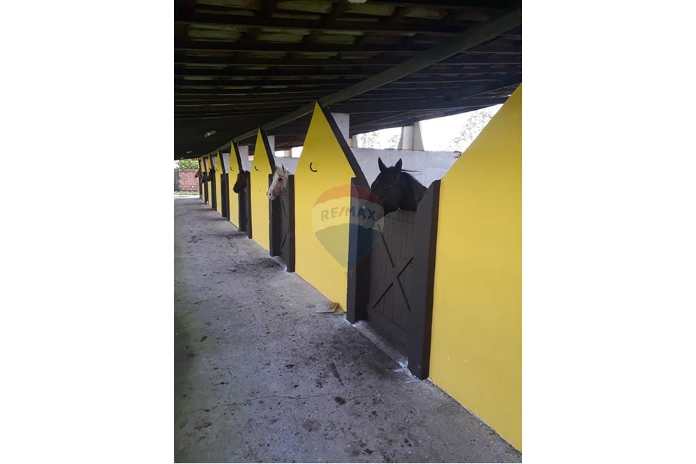 Chácara / Sítio / Fazenda - Venda - Camaragibe , Pernambuco - 9c245d46-2922-4856-811d-33657b39f7cb.jpg - 850251079-75