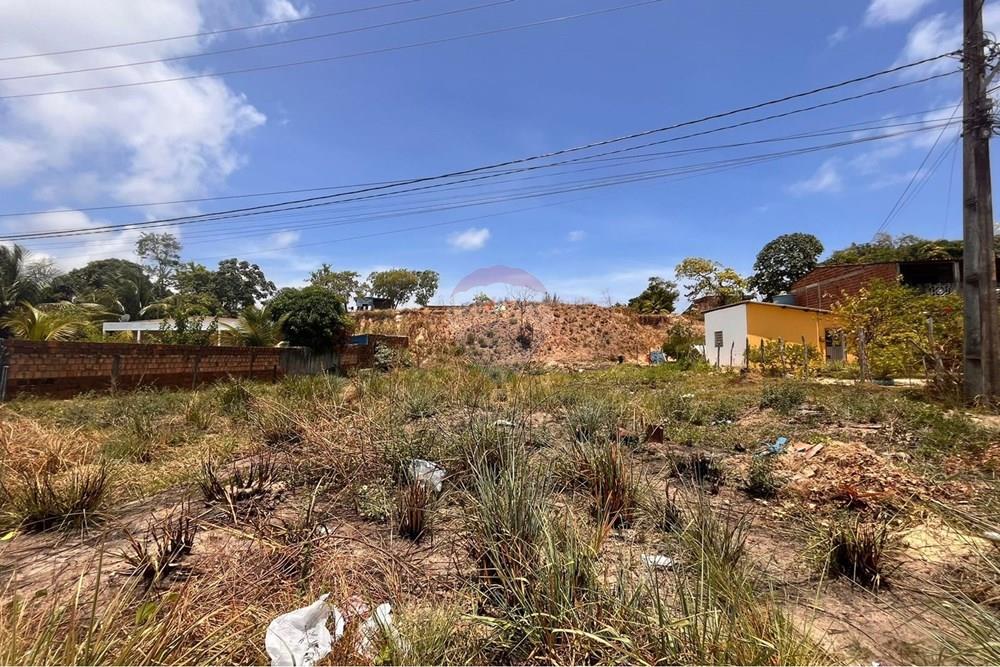 Terreno - Venda - Cabo de Santo Agostinho , Pernambuco - WhatsApp Image 2026-02-03 at 12.21.30 (1).jpeg - 850281001-64