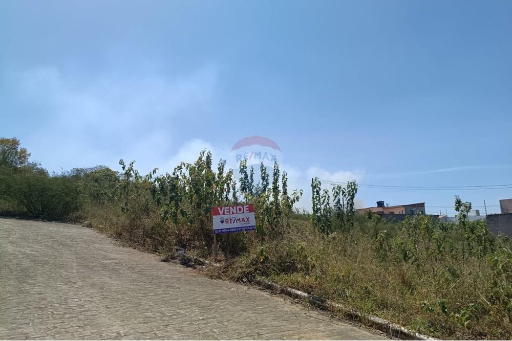 Terreno - Venda - Garanhuns , Pernambuco - WhatsApp Image 2025-11-13 at 20.46.07.jpeg - 850741008-1