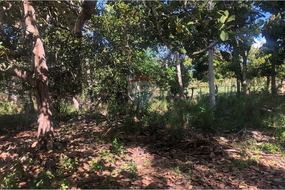 Terreno - Venda - Arapiraca , Alagoas - ter.arap.6.jpg - 850141054-44