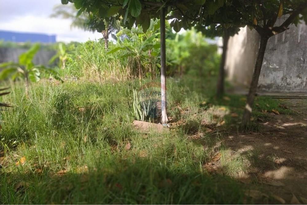 Galpão - Venda - Recife , Pernambuco - WhatsApp Image 2026-03-04 at 11.15.08 (4).jpeg - 850091092-32