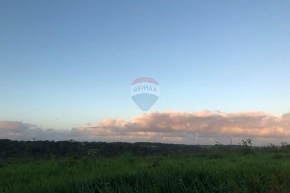 Terreno - Venda - Paudalho , Pernambuco - WhatsApp Image 2025-12-10 at 14.03.50 (1).jpeg - 850261003-324