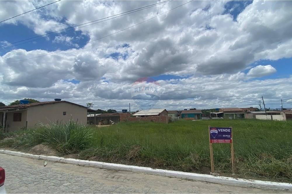 Terreno - Venda - Brejão , Pernambuco - Onça 5.jpeg - 850741009-3