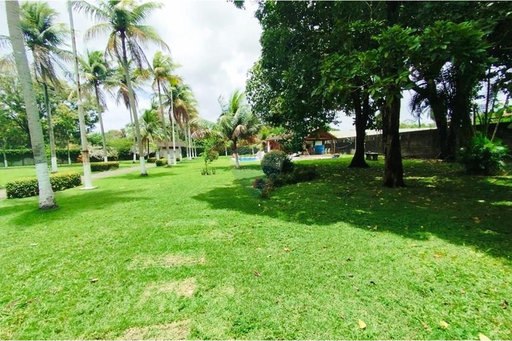 Chácara / Sítio / Fazenda - Venda - Recife , Pernambuco - WhatsApp Image 2025-10-07 at 10.10.53 (1).jpeg - 850071019-216