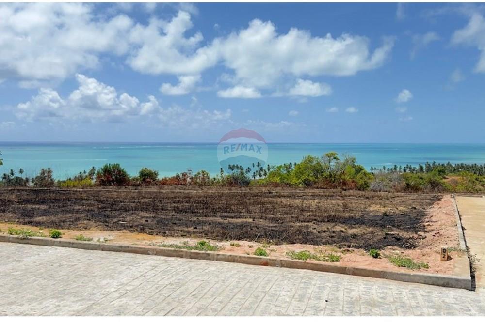 Terreno - Venda - Maragogi , Alagoas - WhatsApp Image 2026-01-17 at 19.09.48 (2).jpeg - 850291001-265