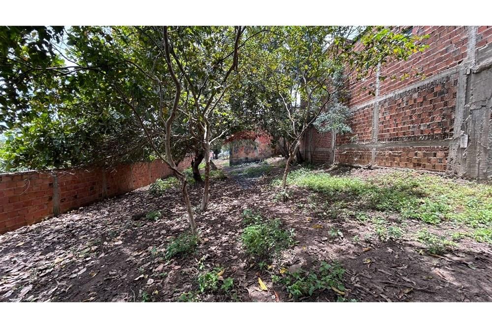 Terreno - Venda - Taquarana , Alagoas - IMG-20251006-WA0035.jpg - 850711017-14