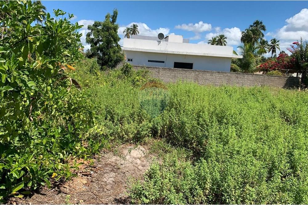 Terreno - Venda - Porto de Pedras , Alagoas - 24.jpg - 850271286-55