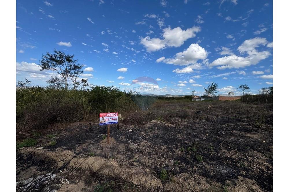 Terreno - Venda - Garanhuns , Pernambuco - WhatsApp Image 2025-12-03 at 21.36.57.jpeg - 850131003-523
