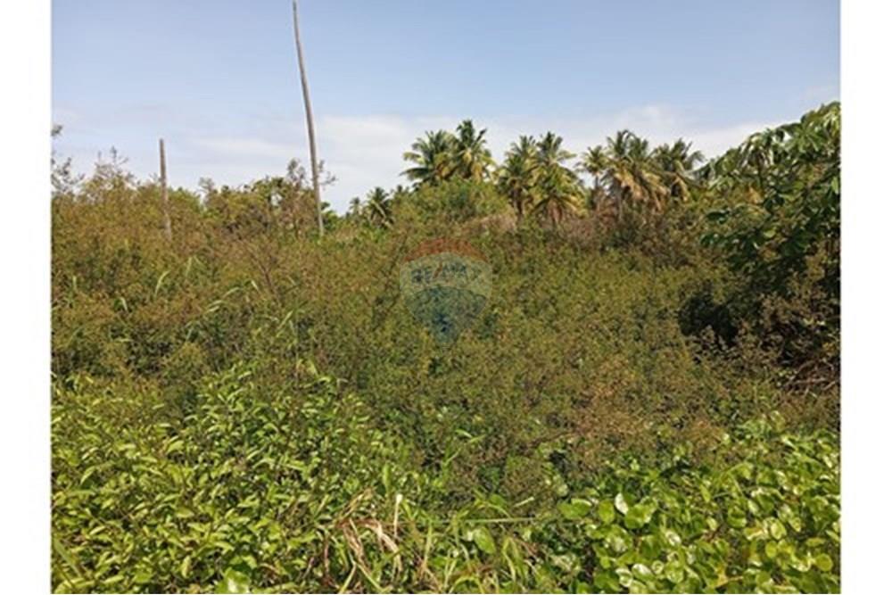 Terreno - Venda - São Miguel dos Milagres , Alagoas - L_04694b30-5eb7-4afa-b4cd-3123df7db44a.jpg - 850271222-10