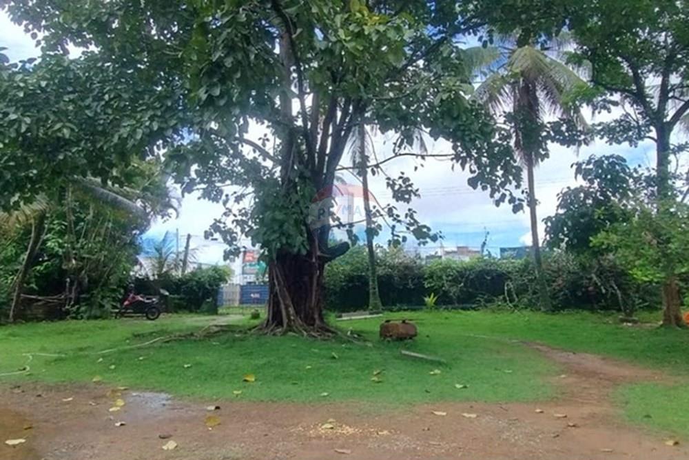 Chácara / Sítio / Fazenda - Venda - Recife , Pernambuco - WhatsApp Image 2026-04-02 at 12.14.04 (2).jpeg - 850251150-5