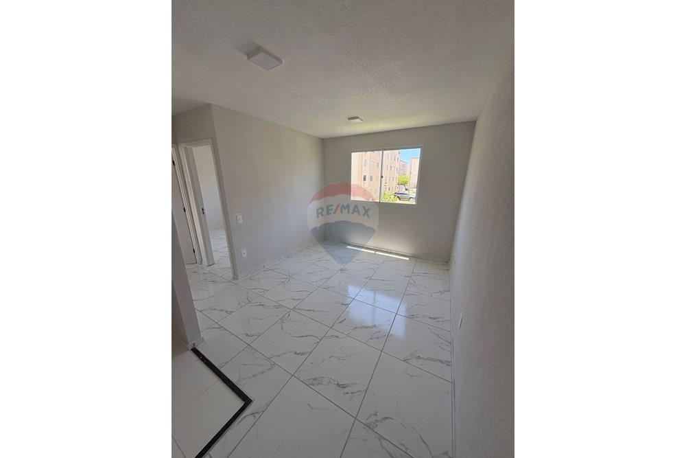 Apartamento - Venda - Jaboatão dos Guararapes , Pernambuco - WhatsApp Image 2026-03-03 at 11.13.55 (3).jpeg - 850091013-347