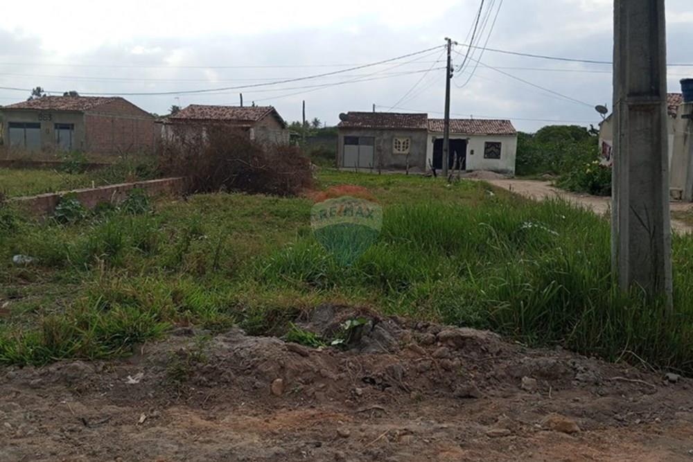 Terreno - Venda - Lajedo , Pernambuco - WhatsApp Image 2025-11-17 at 12.26.38 PM.jpeg - 850131012-49