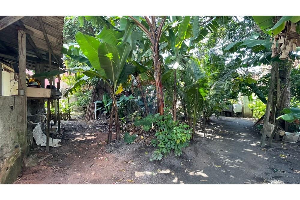 Chácara / Sítio / Fazenda - Venda - Maceió , Alagoas - 2c0f3e67-a23a-471d-af52-ea00f16b7ead.jpeg - 850271147-49