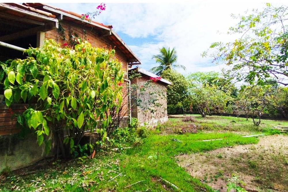 Chácara / Sítio / Fazenda - Alugar - Igarassu , Pernambuco - WhatsApp Image 2025-01-23 at 15.12.45 (1).jpeg - 850071019-200