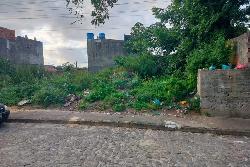 Terreno - Venda - Aracaju , Sergipe - WhatsApp Image 2025-11-25 at 10.29.22.jpeg - 850581096-239