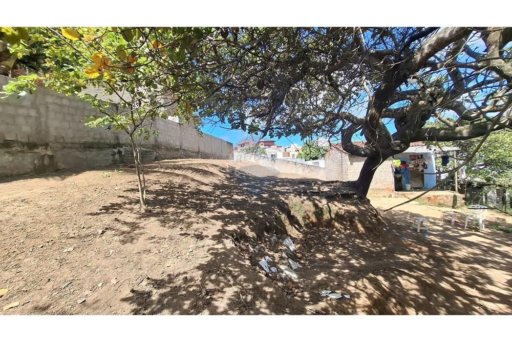 Terreno - Venda - Maceió , Alagoas - WhatsApp Image 2025-07-28 at 16.16.55 (1).jpeg - 850271246-1