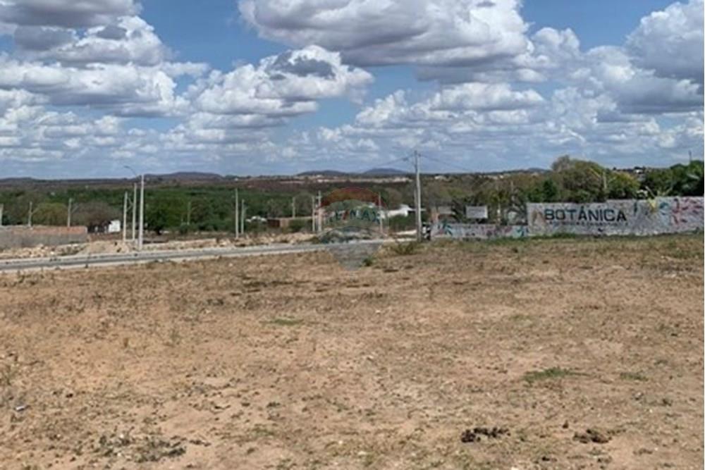 Terreno - Venda - Delmiro Gouveia , Alagoas - WhatsApp Image 2025-06-20 at 11.59.21.jpeg - 850491012-51