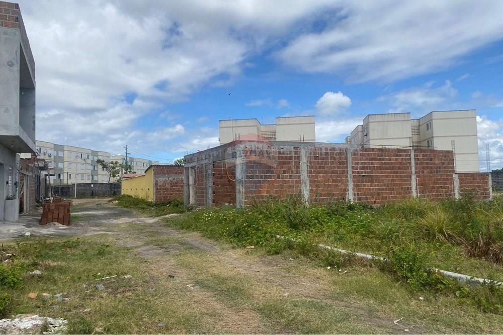 Terreno - Venda - Ipojuca , Pernambuco - WhatsApp Image 2026-02-17 at 12.37.53.jpeg - 850221030-41