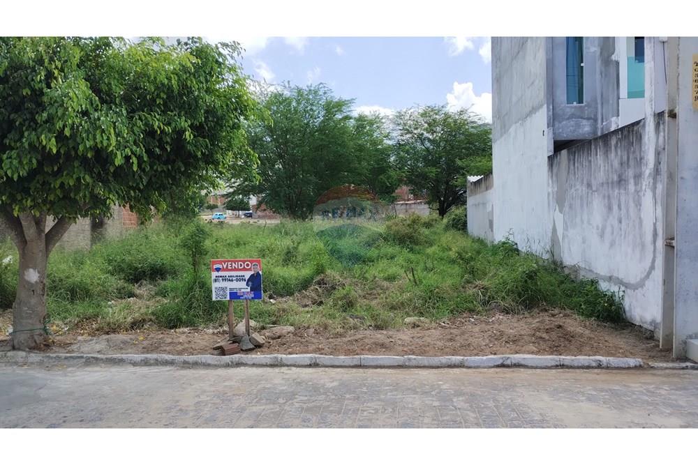 Terreno - Venda - Vertentes , Pernambuco - IMG_20250921_125148836.jpg - 850781005-21