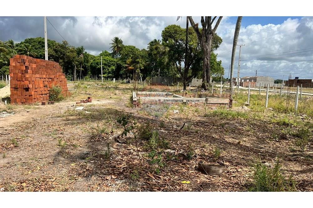 Terreno - Venda - Ipojuca , Pernambuco - 3.jpeg - 850221031-281