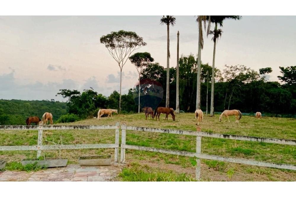 Chácara / Sítio / Fazenda - Venda - Camaragibe , Pernambuco - cd3b104f-abbc-4dc2-b4cd-46baa4730f67.jpg - 850251079-75