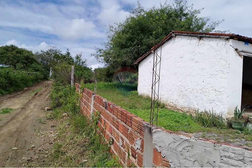 Chácara / Sítio / Fazenda - Venda - Lajedo , Pernambuco - IMG_20250616_111805.jpg - 850131018-51