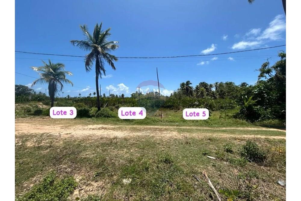 Terreno - Venda - São Miguel dos Milagres , Alagoas - WhatsApp Image 2025-10-17 at 20.59.29.jpeg - 850271222-10