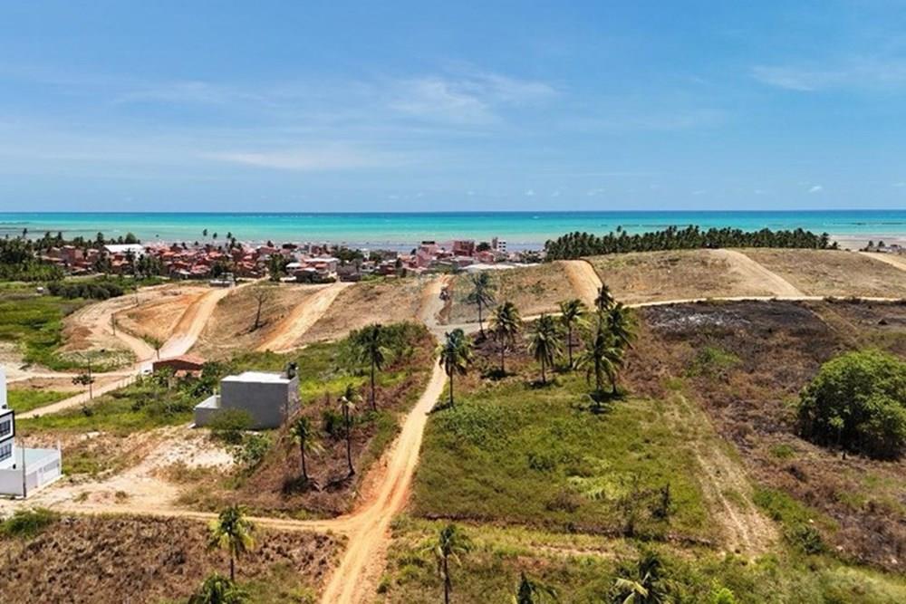 Terreno - Venda - Maragogi , Alagoas - WhatsApp Image 2025-11-28 at 16.11.43.jpeg - 850291028-1