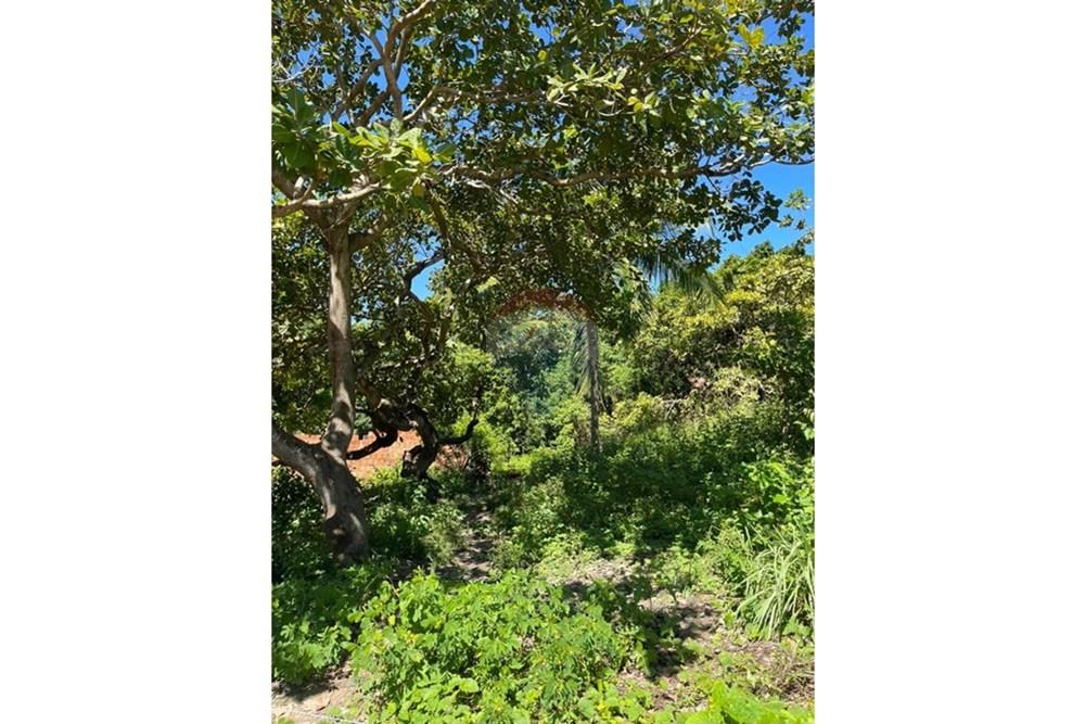 Terreno - Venda - Maceió , Alagoas - IMG-20250707-WA0007.jpg - 850711016-38