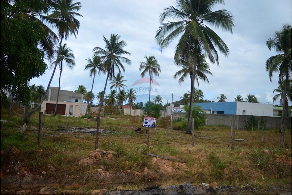 Residential - Land - Maragogi , Alagoas - BR - faf7c694-7d03-4195-9a10-f19b111edb37.jpeg - 850291009-32