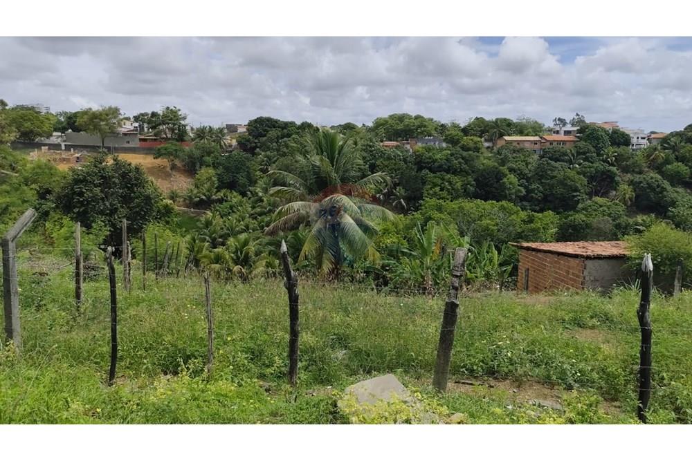 Terreno - Venda - Maceió , Alagoas - WhatsApp Image 2025-03-09 at 19.15.23 (1).jpeg - 850141043-78