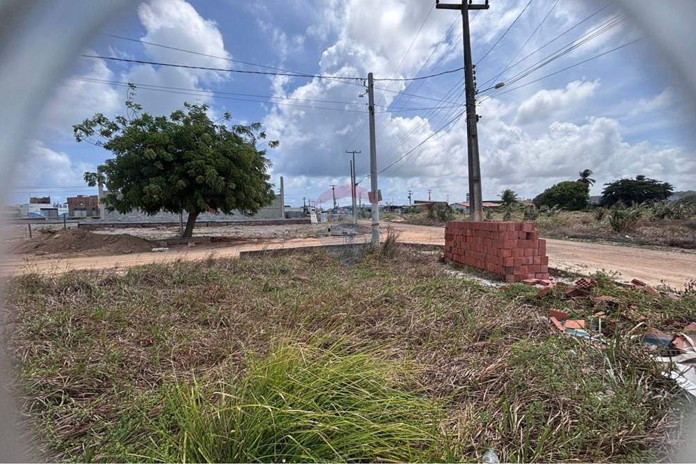 Terreno - Venda - Barra de São Miguel , Alagoas - WhatsApp Image 2026-01-22 at 07.46.11.jpeg - 850711032-24
