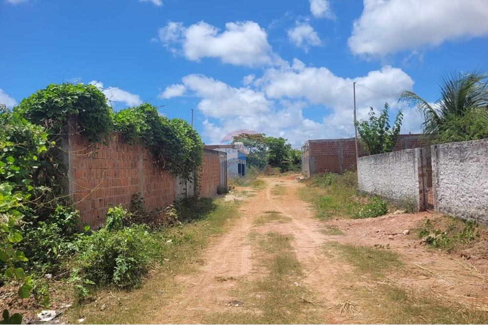 Terreno - Venda - Cabo de Santo Agostinho , Pernambuco - WhatsApp Image 2025-02-18 at 14.44.12 (2).jpeg - 850281001-32