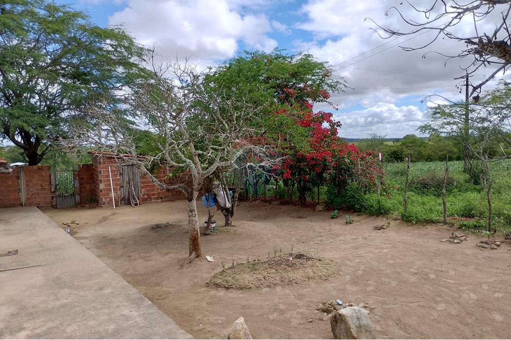 Casa de Campo - Venda - Lajedo , Pernambuco - IMG_20250530_105458_HDR.jpg - 850131018-47
