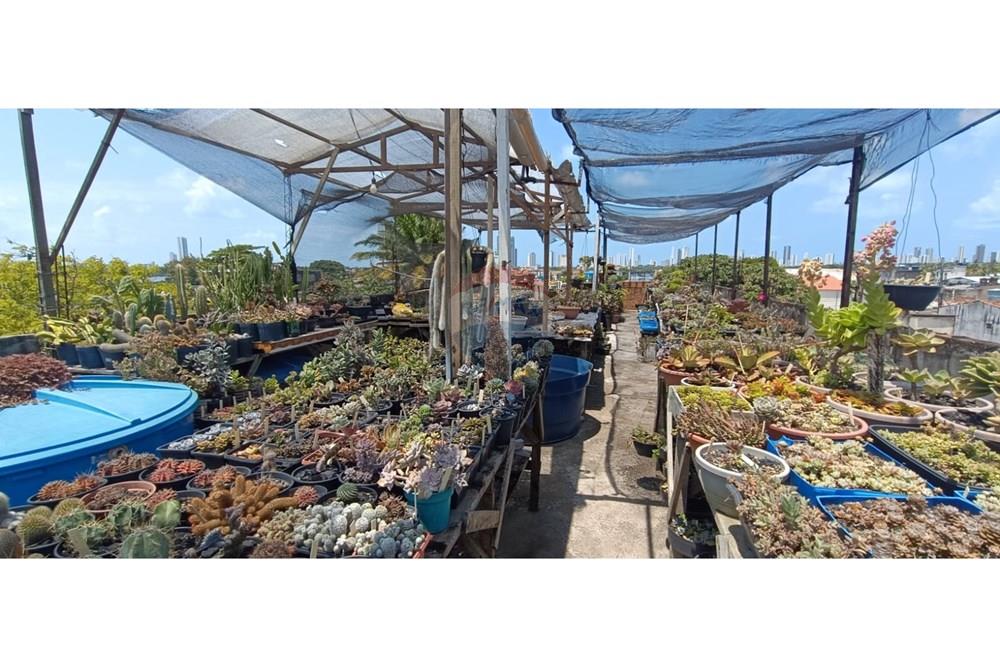 Casa - Venda - Recife , Pernambuco - 24.jpeg - 850251083-43