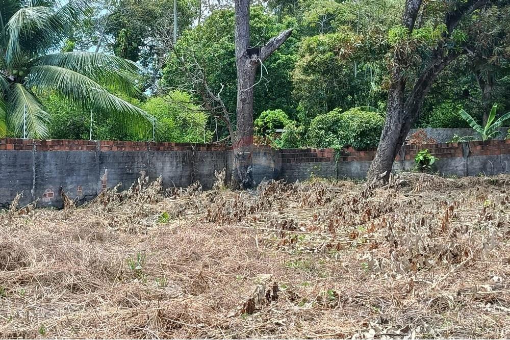 Terreno - Venda - Maceió , Alagoas - WhatsApp Image 2025-12-10 at 15.36.00 (4).jpeg - 850271159-435