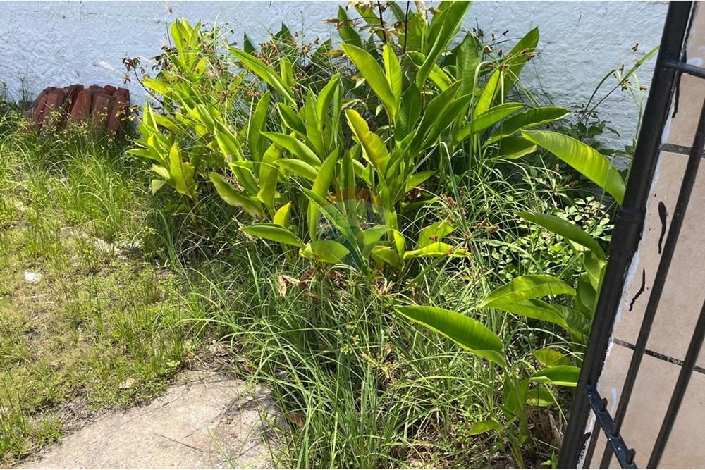 Casa - Venda - Ipojuca , Pernambuco - WhatsApp Image 2025-02-20 at 14.44.34 (3).jpeg - 850221043-19