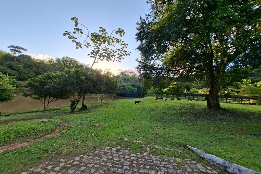 Terreno - Venda - Camaragibe , Pernambuco - WhatsApp Image 2025-08-22 at 15.09.43 (4).jpeg - 850091072-20