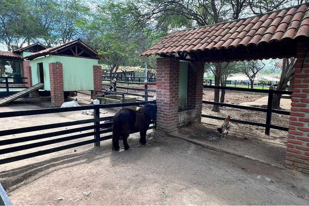 Casa - Venda - Gravatá , Pernambuco - Imagem do WhatsApp de 2025-07-28 à(s) 17.15.34_851dbb93.jpg - 850301001-342