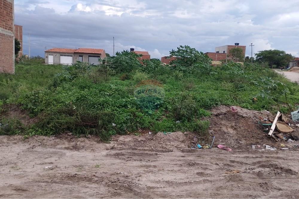 Terreno - Venda - Lajedo , Pernambuco - WhatsApp Image 2026-03-05 at 09.45.11.jpeg - 850131018-87