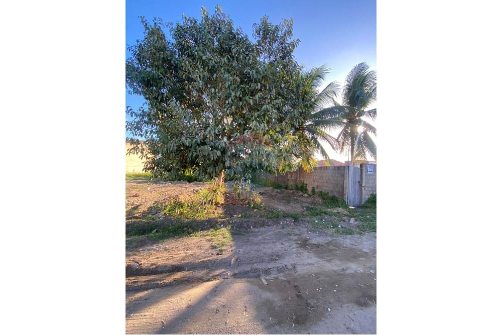 Terreno - Venda - Barra de São Miguel , Alagoas - WhatsApp Image 2025-10-29 at 15.37.37.jpeg - 850751006-5