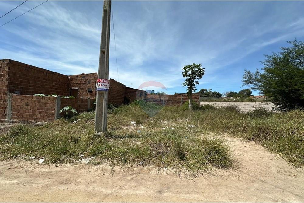 Terreno - Venda - Garanhuns , Pernambuco - WhatsApp Image 2025-05-13 at 21.24.53 (3).jpeg - 850131003-443